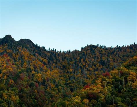 What's the Weather Like in Asheville, NC?