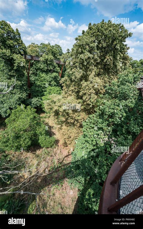 Tree Top Walkway - Kew Gardens Stock Photo - Alamy