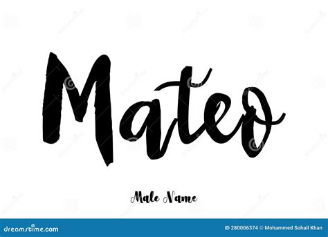 Mateo Male Name Stylish Bold Grunge Typography Text Lettering Vector