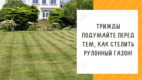 ПЛЮСЫ И МИНУСЫ РУЛОННОГО ГАЗОНА!ДЕЛЮСЬ СВОИМ ОПЫТОМ! - YouTube