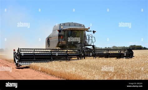 Combine Harvester Stock Photo Alamy