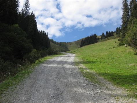 Mountainbike Saalbach Bärenbach 12er Kogel jofri Tour 91462