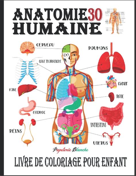 Buy ANATOMIE HUMAINE LIVRE DE COLORIAGE POUR ENFANT Livre De