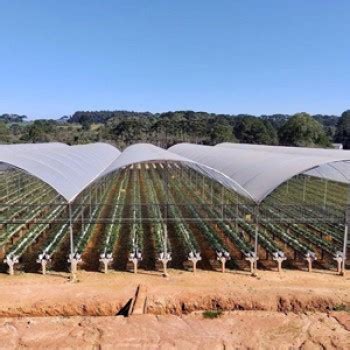 Estufa Agrícola Preço em Parintins Aço Fort