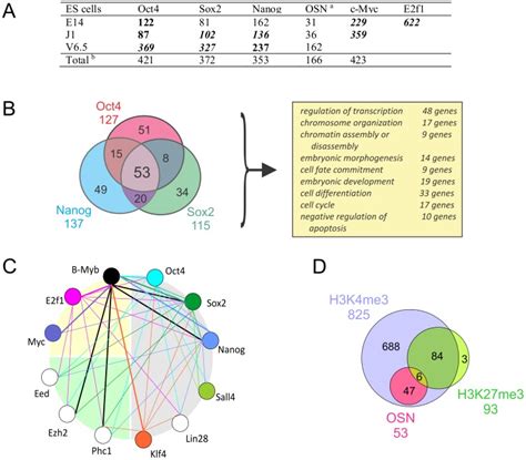 A Overlap Of Target Genes Between B Myb And Other Selected Tfs See