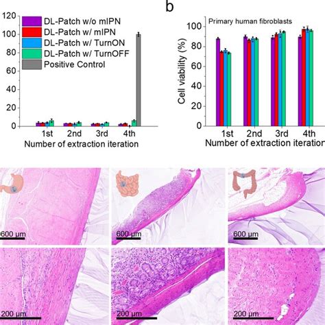 Cell and tissue compatibility a Lactate dehydrogenase (LDH) release ... 
