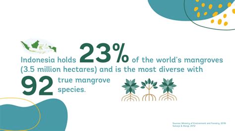 Mangrove Conservation and Restoration: Protecting Indonesia’s Climate ...