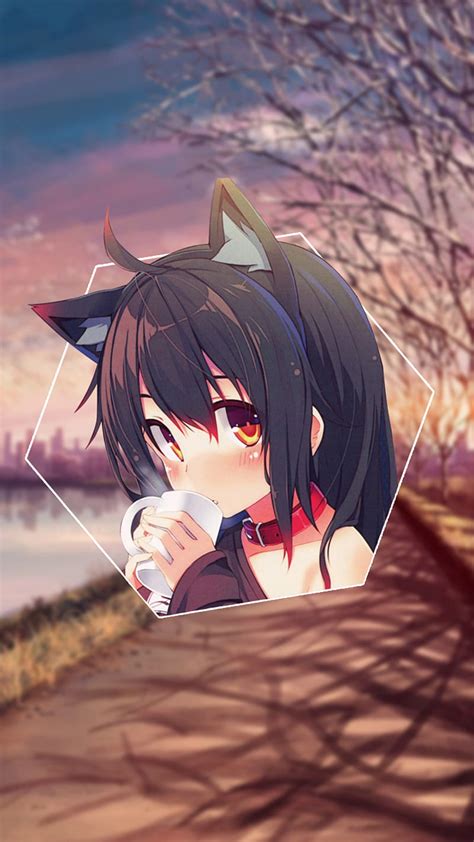 720p Free Download Neko Girl Anime Cute Girl Anime Waifu Hd