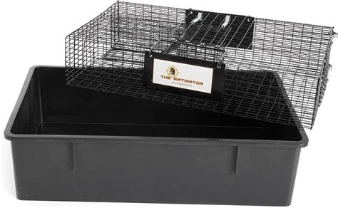 Amazon Pack Humane Rat Traps Live Mouse Rat Cage Traps Catch