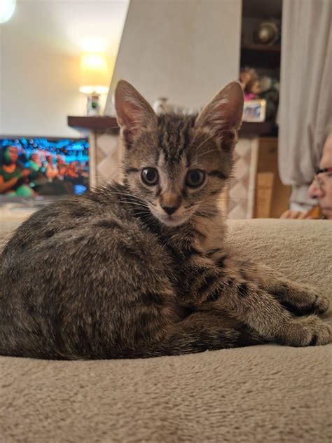 Caterina - Pensavo di aver tirato un sospiro di sollievo e che tutti i