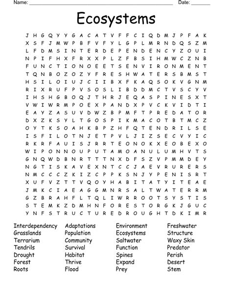 Ecosystem Word Search Printable