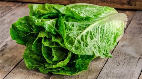 ¿qué Verduras No Producen Gases Y Cuáles Son Sus Beneficios