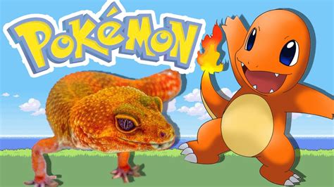 Charmander Pokemon In Real Life Youtube