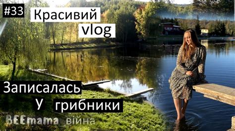 Війна#33 Грибник-лох) Готуємось до зими. Красивий влог, майже, як ...