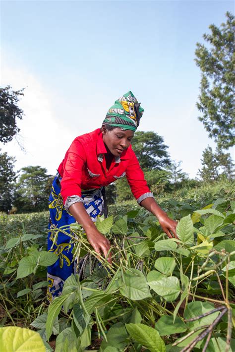 Caroline Mwende 24 Of Kyakya Youth Group Kitui Tends To Drought