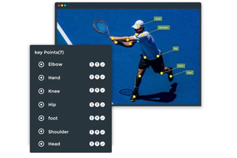 Key Point Annotation In Image And Video Labeling