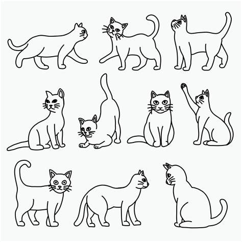 Doodle Freehand Sketch Drawing Of Cat Pose Collection Vector