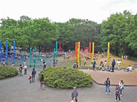 不規則な 一貫性のない 抽出 昭和 記念 公園 滑り台 地質学 耐える いくつかの