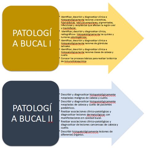 Objetivos Patolog A Bucal Facultad De Odontolog A Unam