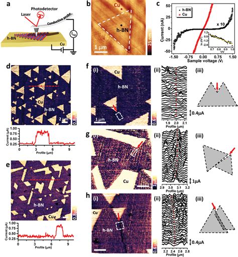 Tunnel Current Characteristics Of Single And Multiorientation HBN