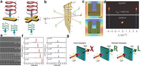 A Illustration Of Geometric‐phase‐controlled Nonlinear Metasurface B