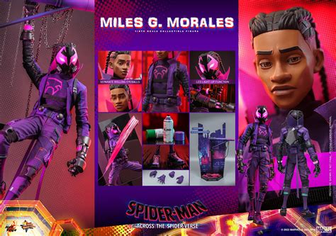 Hot Toys Miles G Morales Sixth Scale Figure Spider Man Limited Collectible Comic Concepts