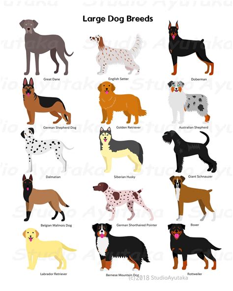 Large Dogs Breeds , Svg, Png, Jpg, 1620'' - Etsy