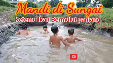 Mandi Di Sungai Ada Ikan Bermulut Panjang Youtube