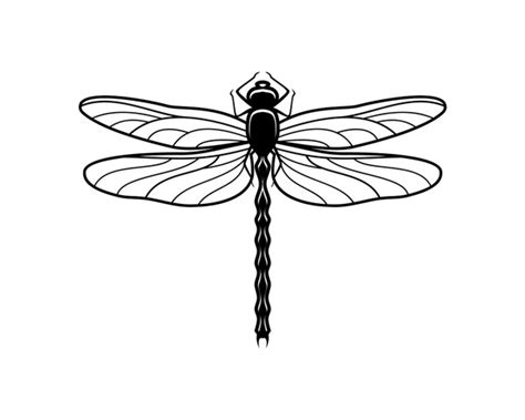 6,967 Black White Dragonfly Drawing Royalty-Free Images, Stock Photos ...