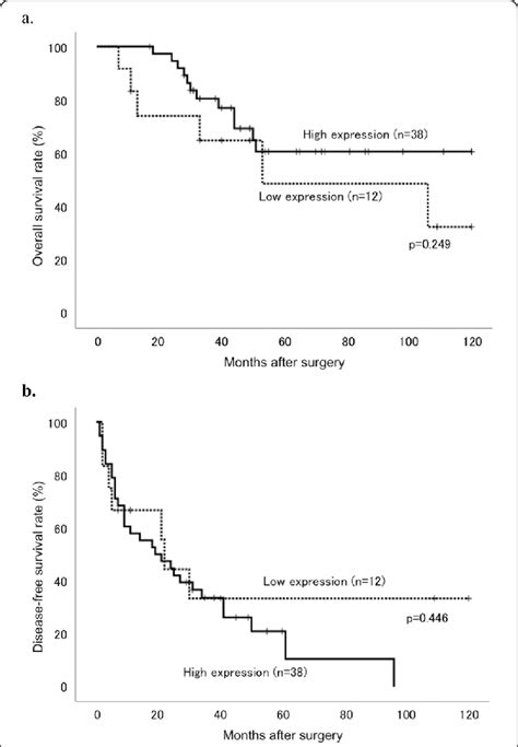 Kaplan Meier Curves Of A Overall Survival Os And B Disease Free Download Scientific