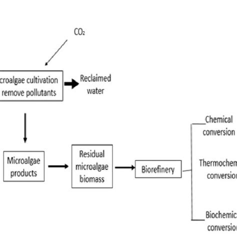 Diagram Of A Biorefinery Adapted From Jankowska Sahu Download