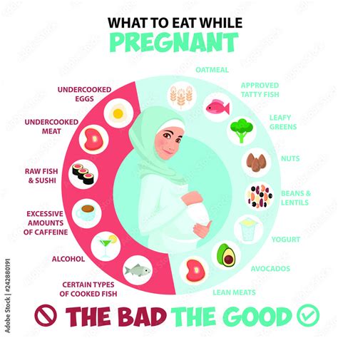 Pregnant Woman Diet Infographic Pregnant Woman Wearing Hijab Muslim