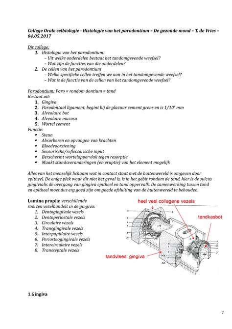 College Orale Celbiologie Parodontologie College Orale Celbiologie