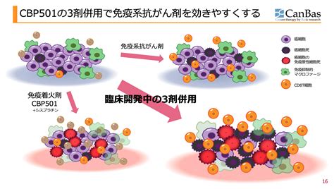 2023〔がん最先端治療〕関連株式銘柄のおすすめ商品サービスを深掘り！