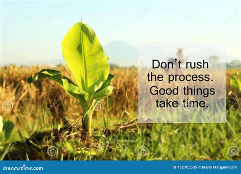 Inspirational Quote Do Not Rush The Process Good Things Take Time