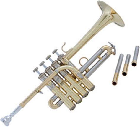 Piccolo Trumpet at best price in New Delhi by Global India | ID: 9529100055