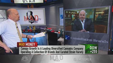 Corona makers CEO says strategic cannabis investment is paying off