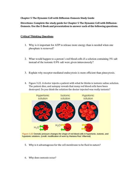 Noah Chambers Stephens - Chapter 5 The Dynamic Cell with Diffusion