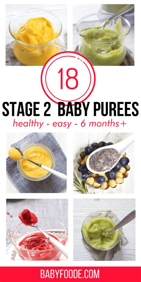 18 Amazing Stage 2 Baby Food Purees (6-8 months) | Baby Foode