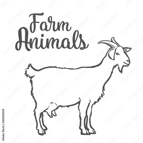 Farm pet goat sketch drawn by hand, cattle, milk and goat meat, goat meat, one farm horned ...