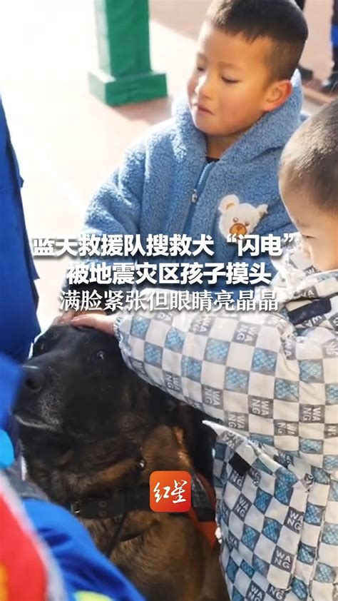 蓝天救援队搜救犬“闪电”被地震灾区孩子摸头 满脸紧张但眼睛亮晶晶凤凰网资讯凤凰网