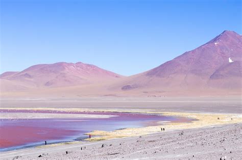 Premium Photo | Laguna Colorada view Bolivia