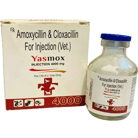 Amoxycillin Cloxacillin Injection At Best Price In Moradabad