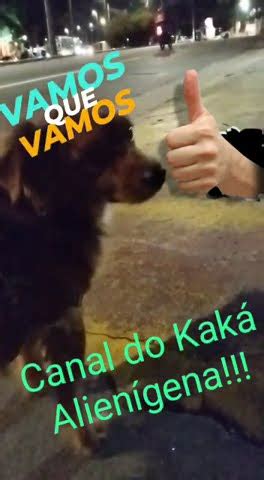 OSCAR LINDHOL NETO RECEBE VÍDEO DO AMIGO WAGNER AÍ O CACHORRO THOR