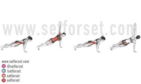 23 Transverse Abdominis Exercises to Bulletproof Your Core - SET FOR SET