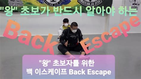 백 이스케이프 Back Escape 왕 초보자를 위한 영상 39 기술도움 최은국 Youtube