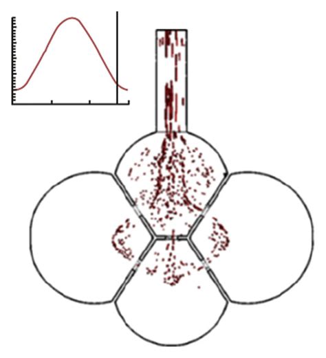 Instantaneous Snapshots Of Particle Positions In The 4 Alveoli Model