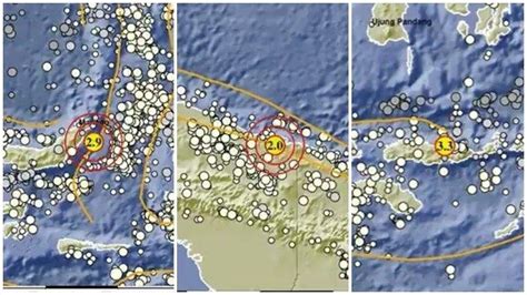 Gempa Terkini 16 Januari 2024 Guncang NTT Papua Dan Sulawesi Utara