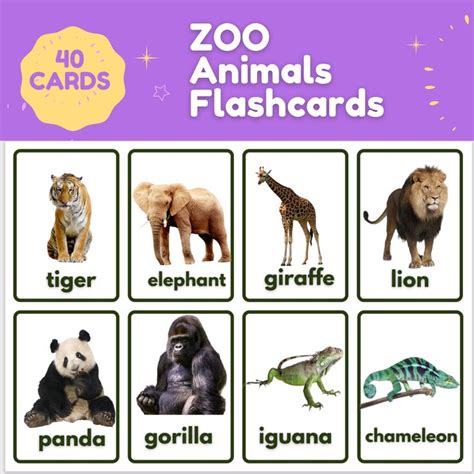 40 Zoo Animals Flashcards Kids Printable Nomenclature Cards ESOL ...