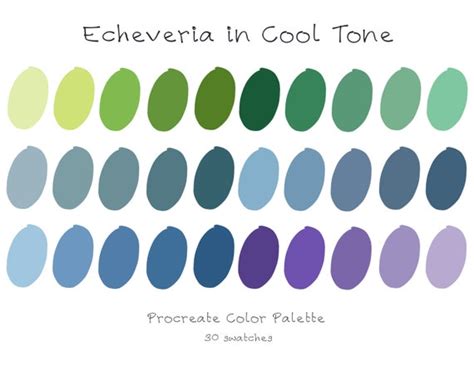 Echeveria in Cool Tone Color Palette / Procreate Tool / - Etsy